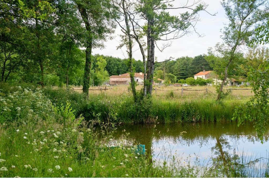 Sevremoine L'Evasion En Pierre Piscine Et Etang Priveヴィラ エクステリア 写真